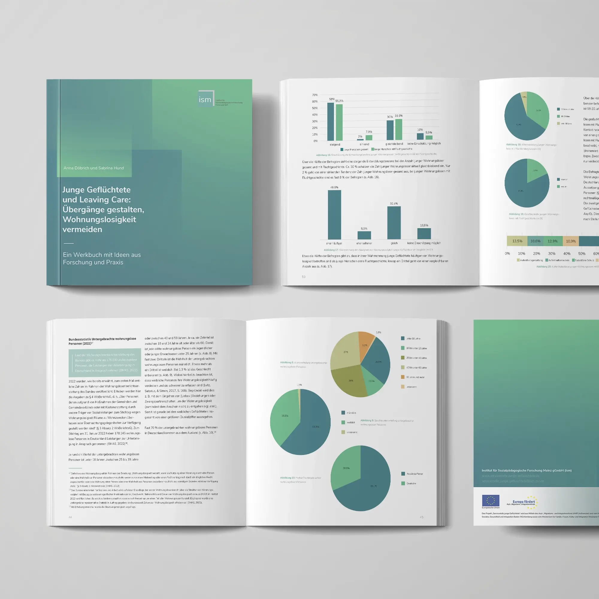 Presentation of some pages from the research report Leaving Care.